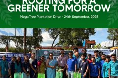 plantation-drive-1