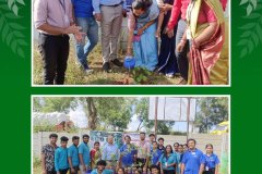 plantation-drive-2