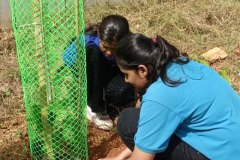 plantation-drive-4