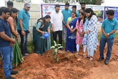 MEGA-TREE-PLANTATION-DRIVE-2 MEGA-TREE-PLANTATION-DRIVE-2